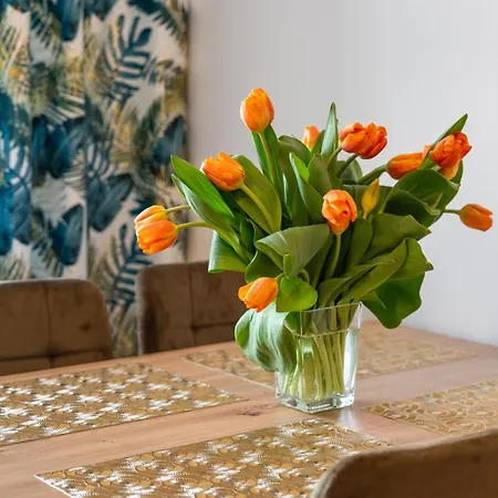 Apartment U Kostka